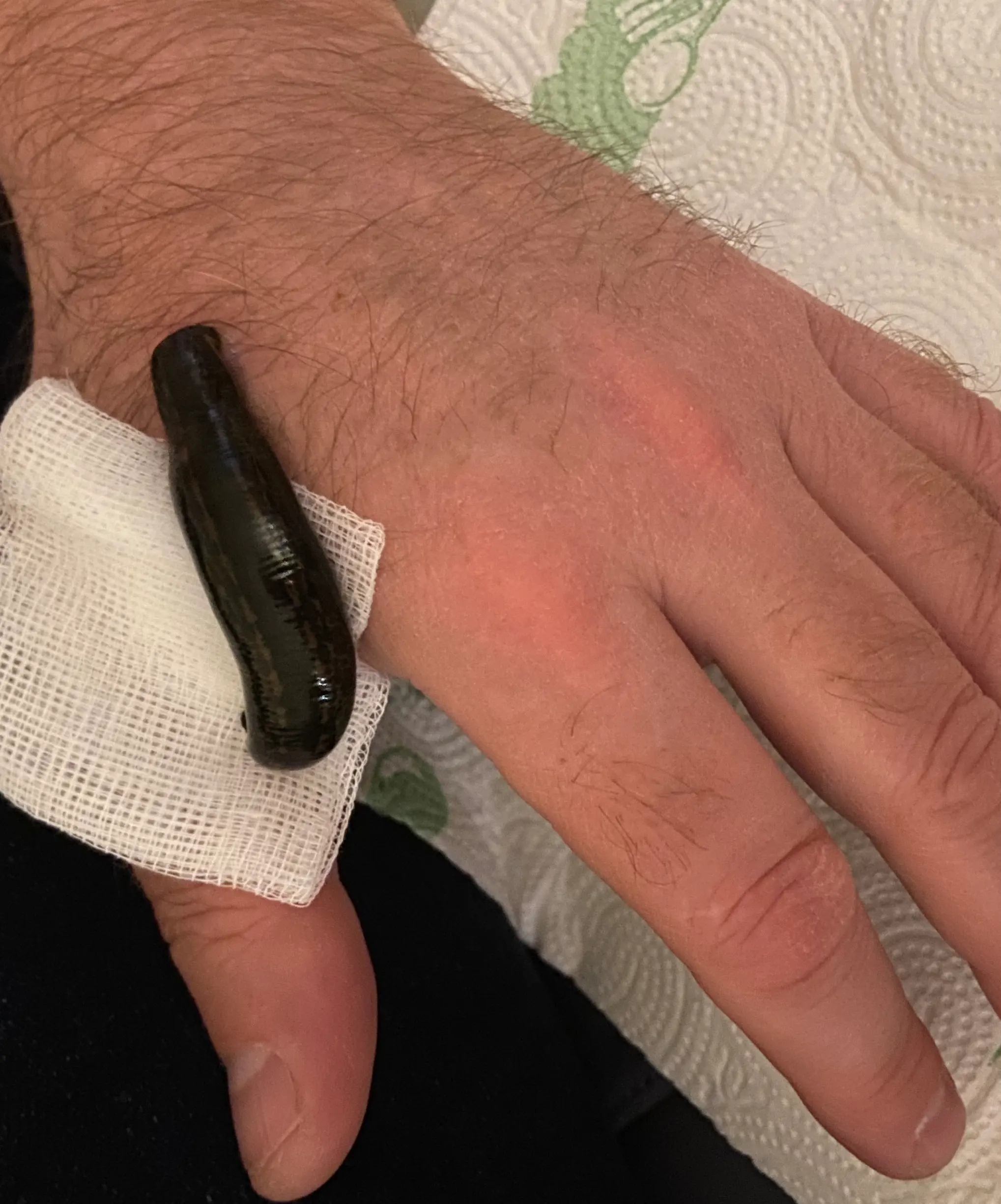 bssblocks image placeholder